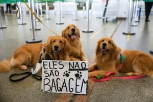 Protesto no aeroporto