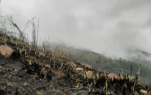 Queimada na Serra do Vulcão