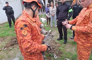 Foto: Divulgação/ PCERJ